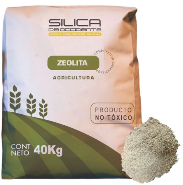 Zeolita